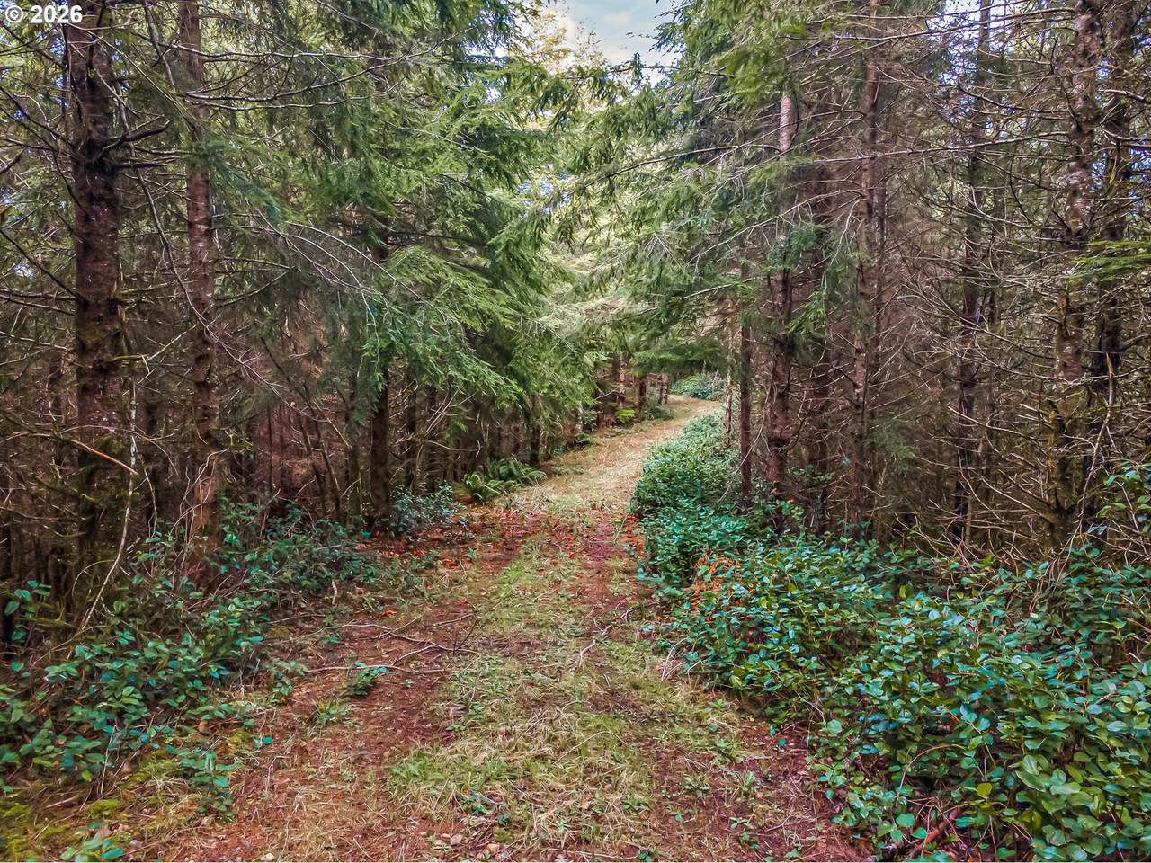 https://bt-photos.global.ssl.fastly.net/portland/1280_boomver_1_385147832-2.jpg