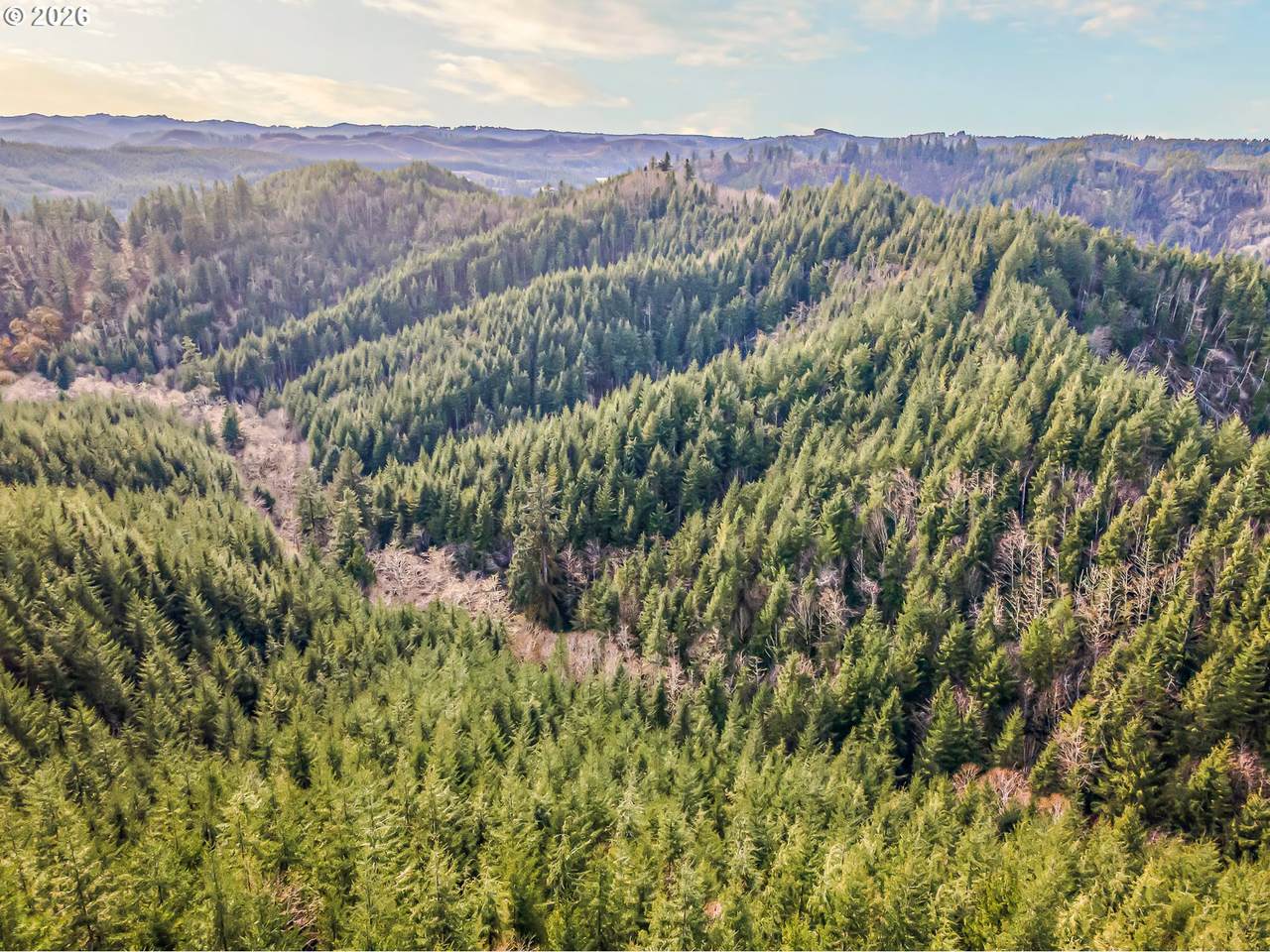 https://bt-photos.global.ssl.fastly.net/portland/1280_boomver_1_385147832-2.jpg