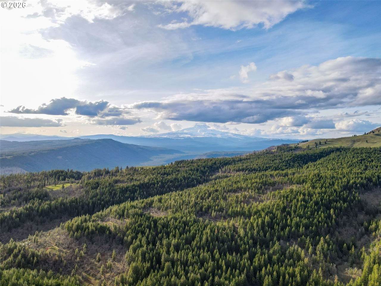 0 Lot 7 Greyback Mtn Rd - Photo 1