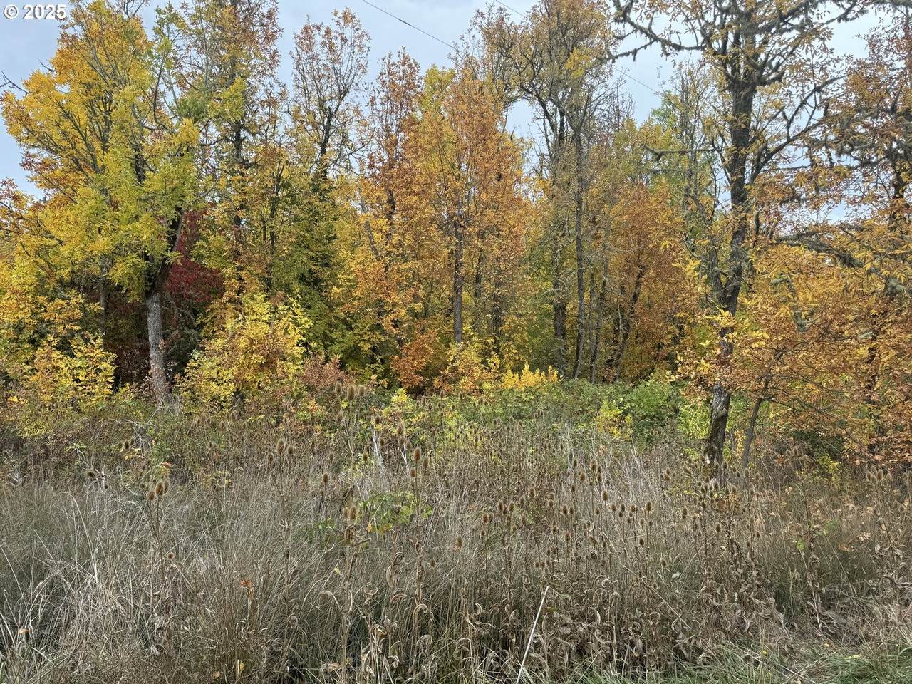 2191 Lorane Hwy - Photo 1