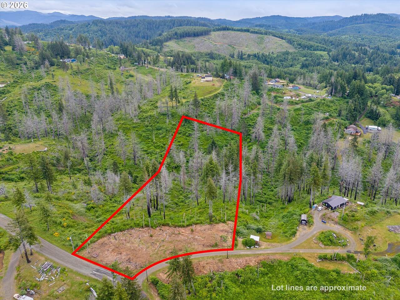  Viewcrest Ct - Photo 1