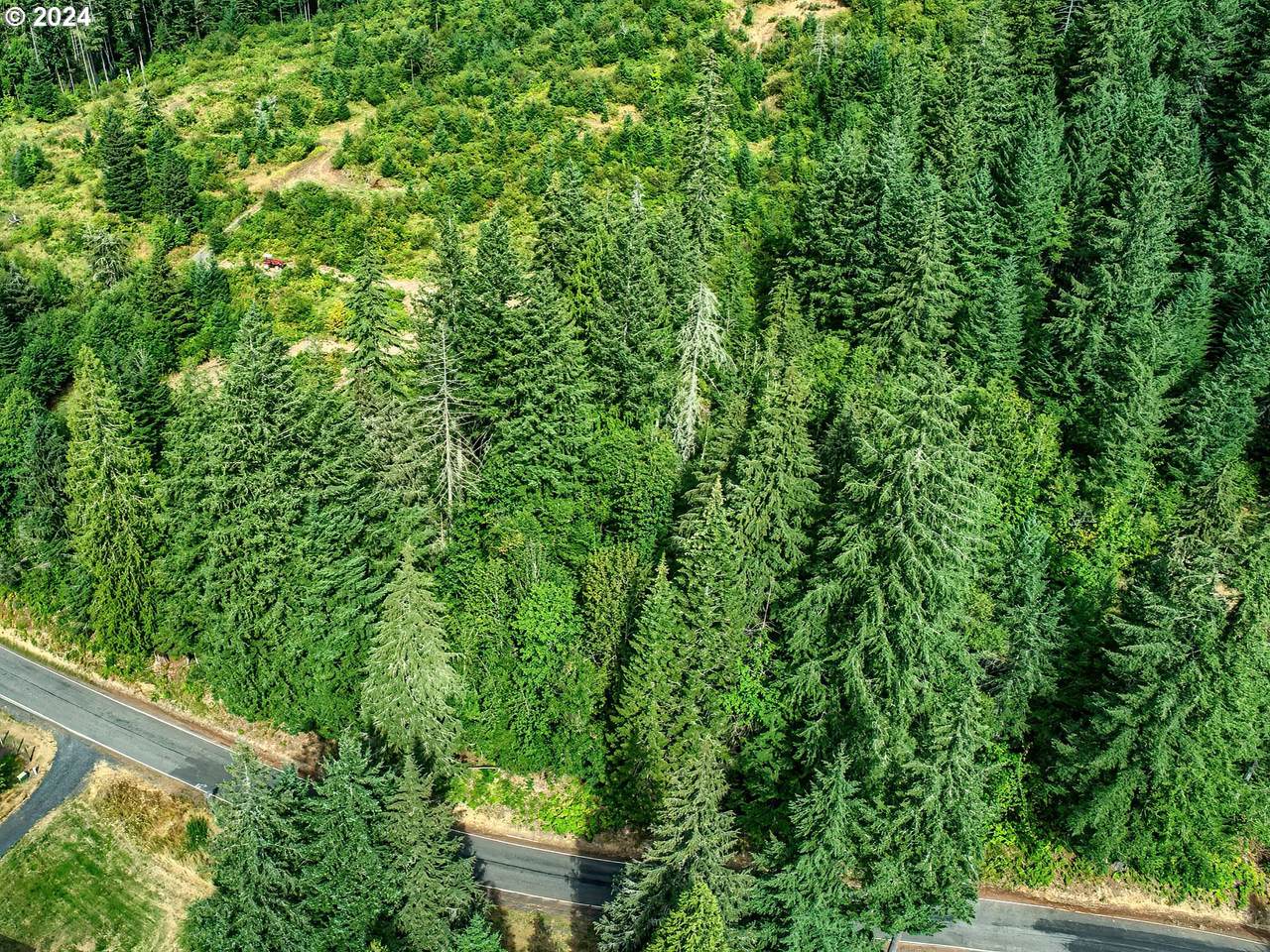 https://bt-photos.global.ssl.fastly.net/portland/1280_boomver_1_395434767-2.jpg