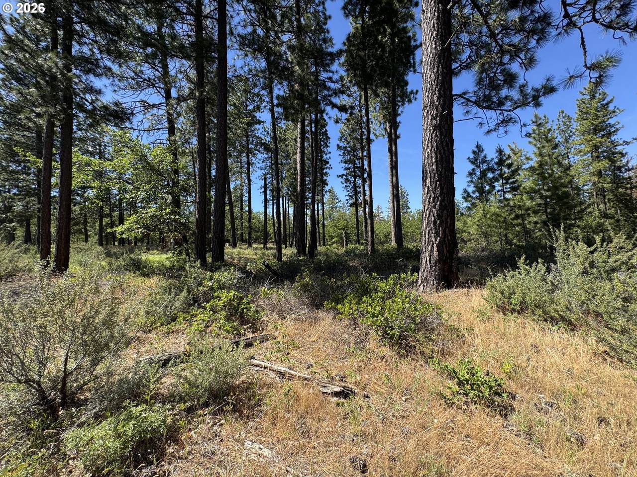 112 Timber Rd - Photo 1