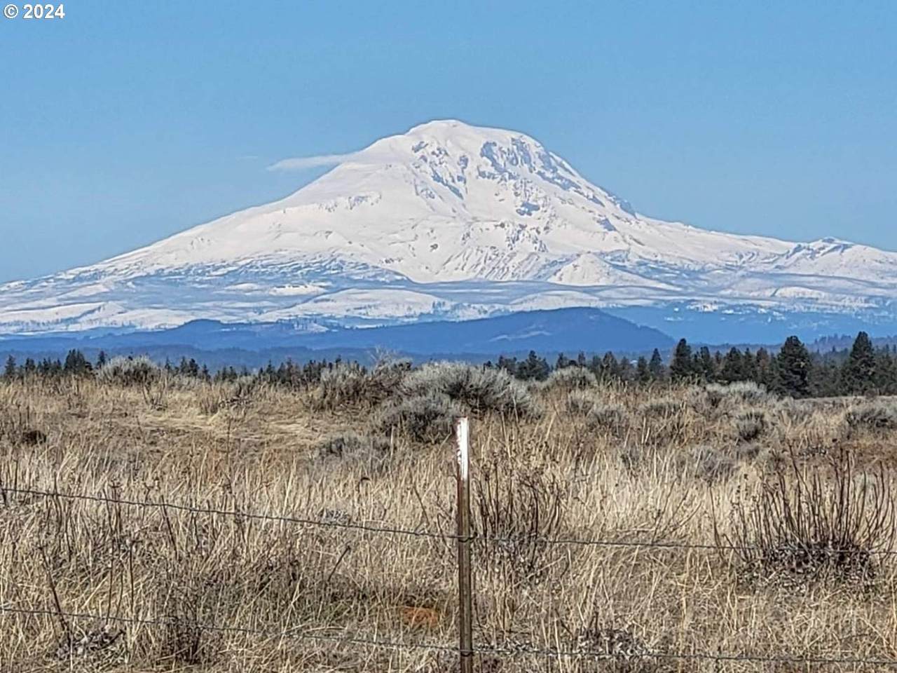 https://bt-photos.global.ssl.fastly.net/portland/1280_boomver_1_395784988-2.jpg