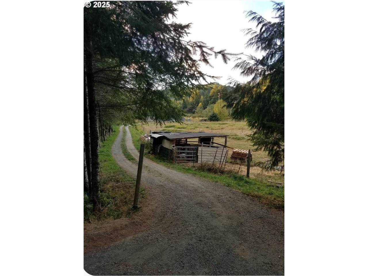 93176 Beaver Creek Ln - Photo 1