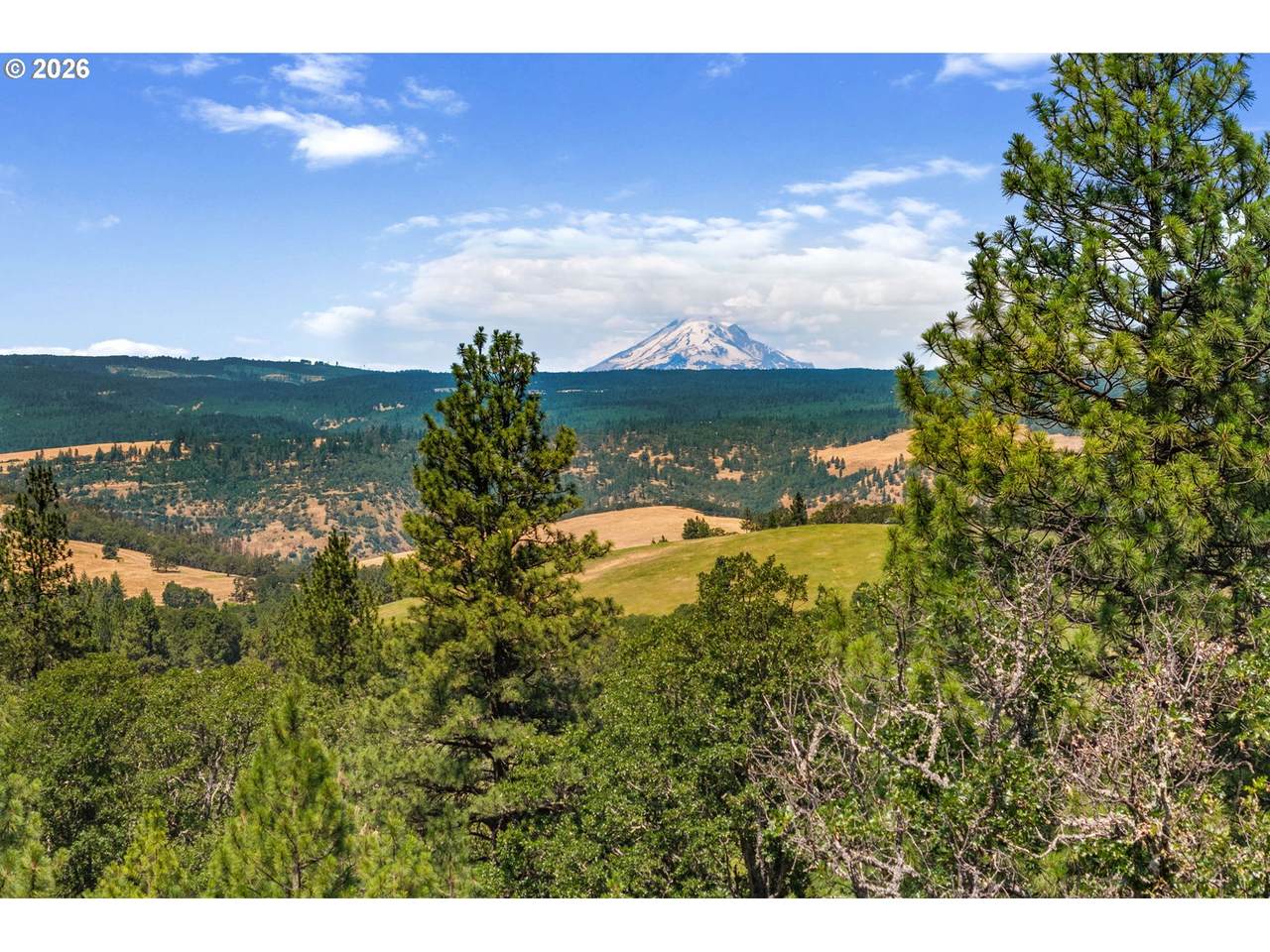 https://bt-photos.global.ssl.fastly.net/portland/1280_boomver_1_400183580-2.jpg