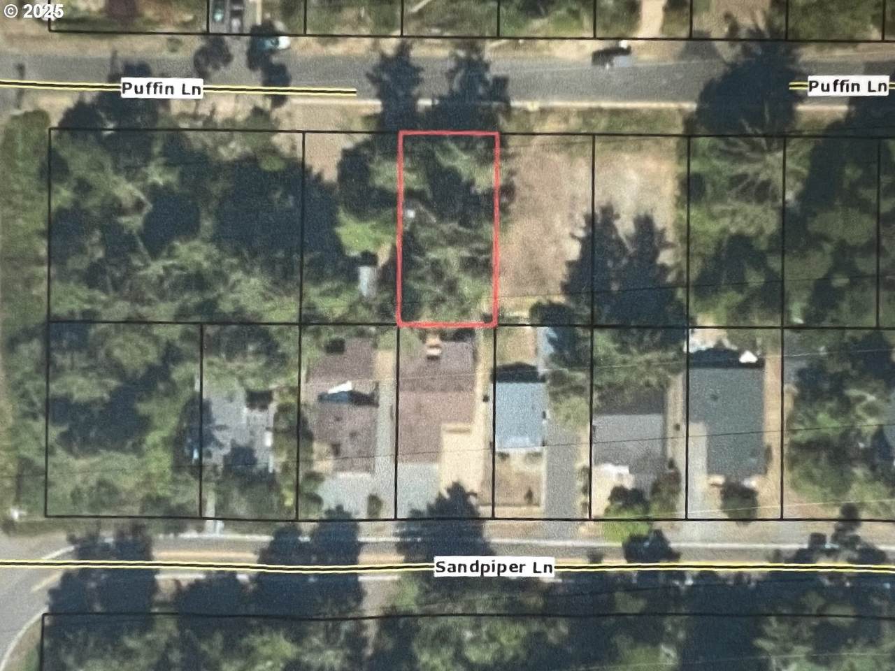 000 Puffin Ln - Photo 1