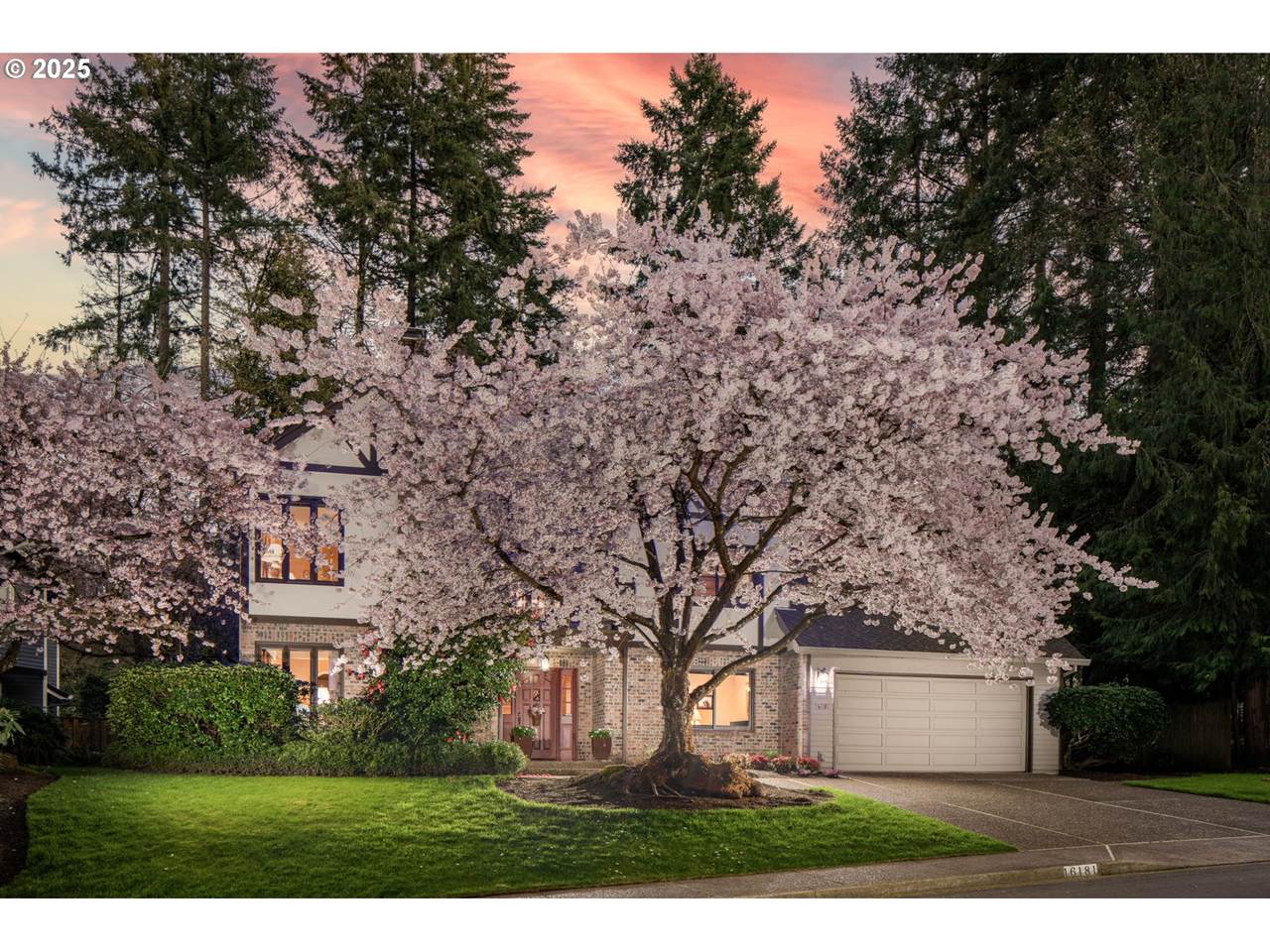 16181 Parelius Cir - Photo 1