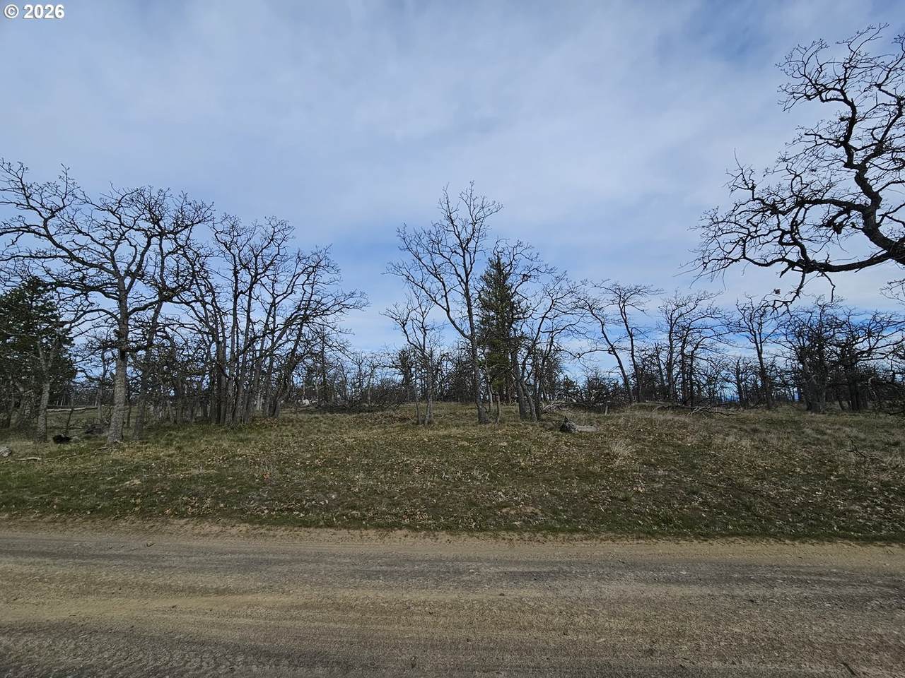 0 Ridgetop Rd - Photo 1