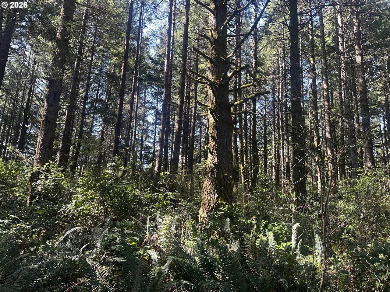  Cedar Terraces - Photo 1