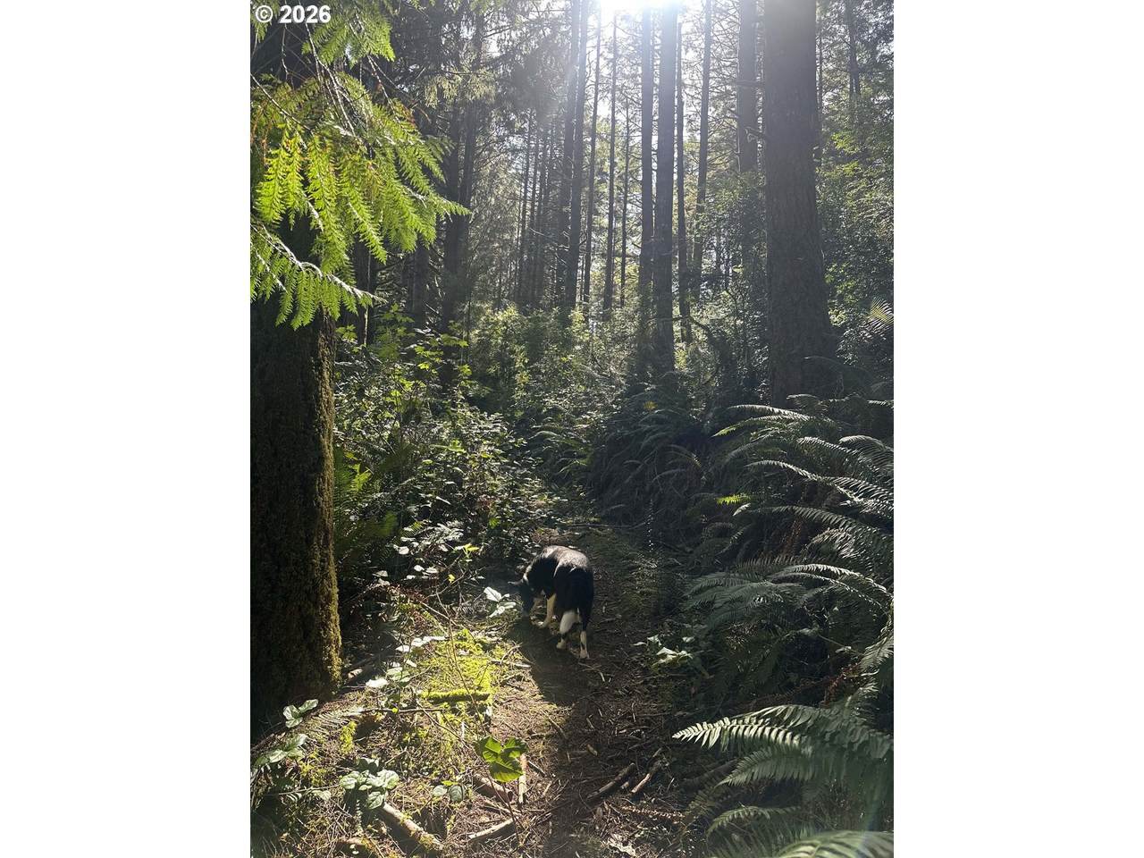https://bt-photos.global.ssl.fastly.net/portland/1280_boomver_1_403301794-2.jpg