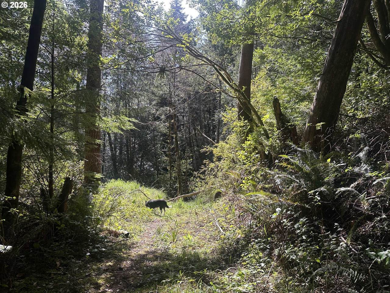 https://bt-photos.global.ssl.fastly.net/portland/1280_boomver_1_403301794-2.jpg