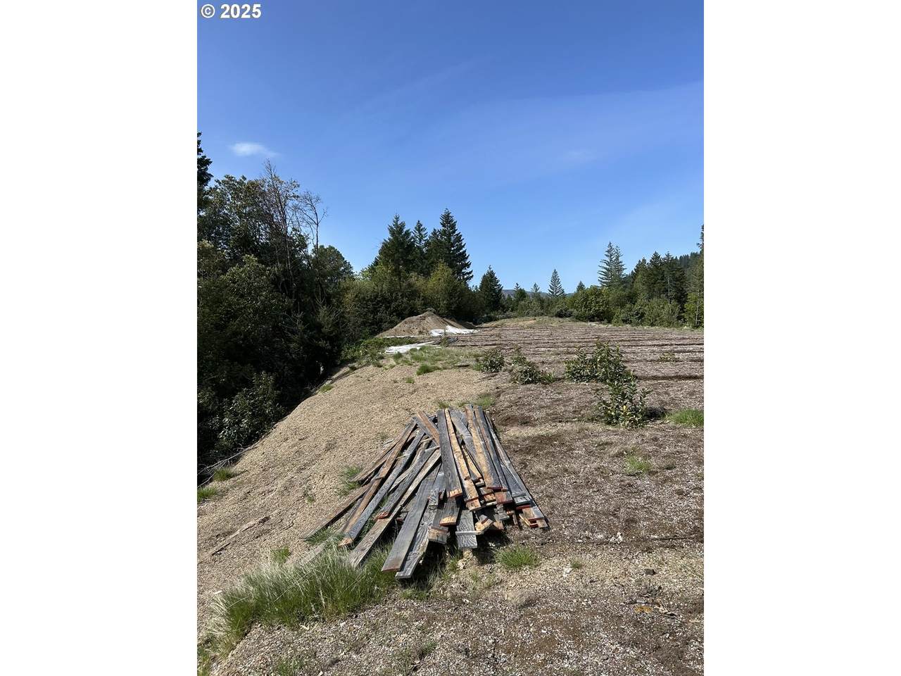 https://bt-photos.global.ssl.fastly.net/portland/1280_boomver_1_403563901-2.jpg
