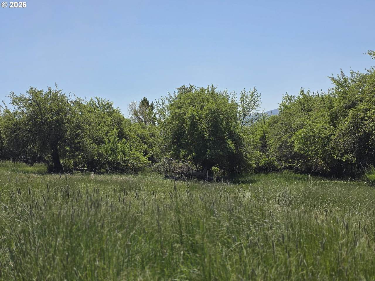 https://bt-photos.global.ssl.fastly.net/portland/1280_boomver_1_405429635-2.jpg