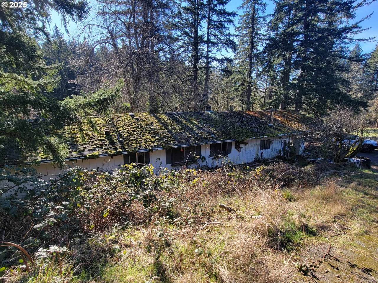 4295 Homesteader Rd - Photo 1