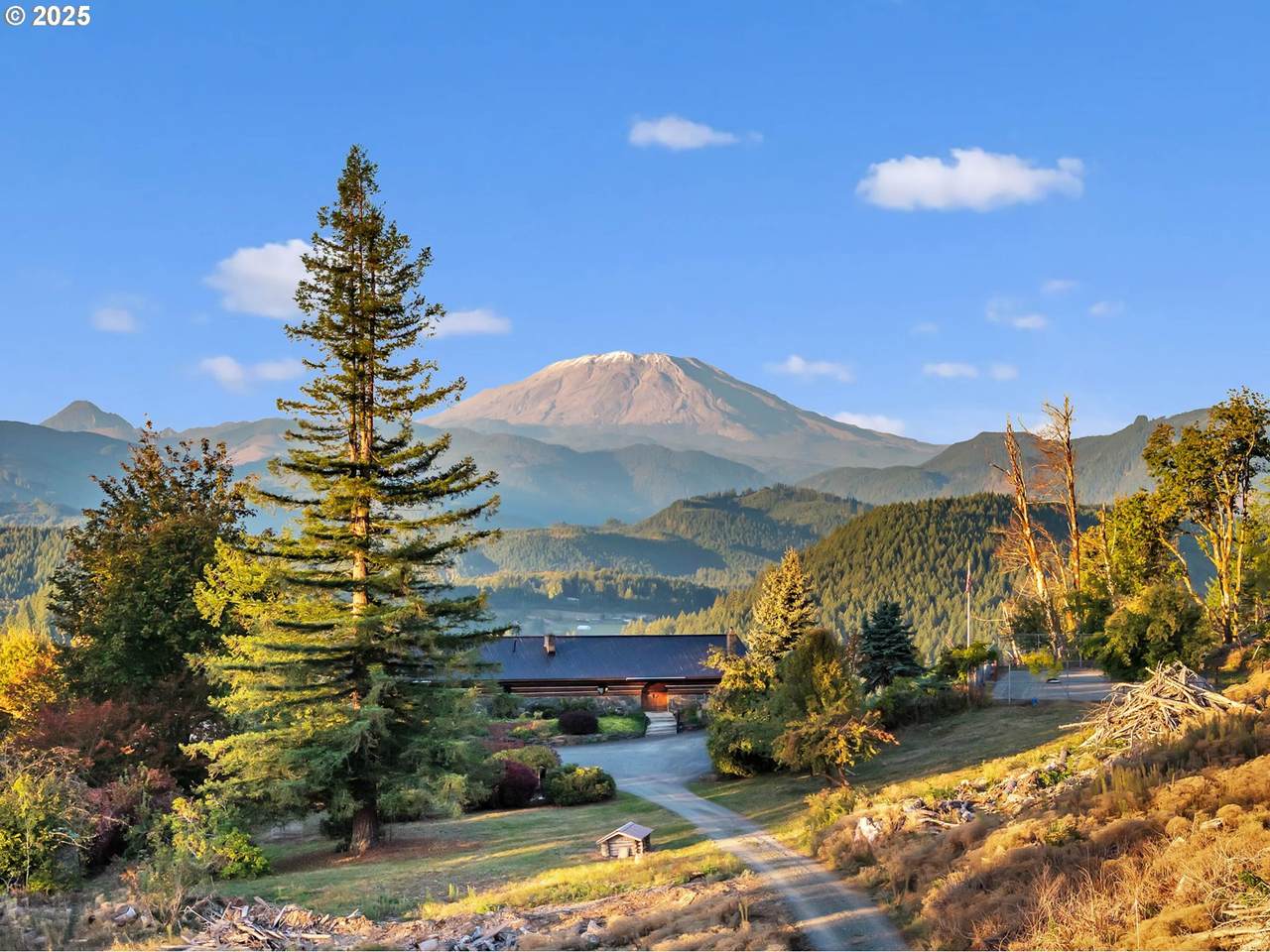 39904 Rotschy Rd - Photo 1