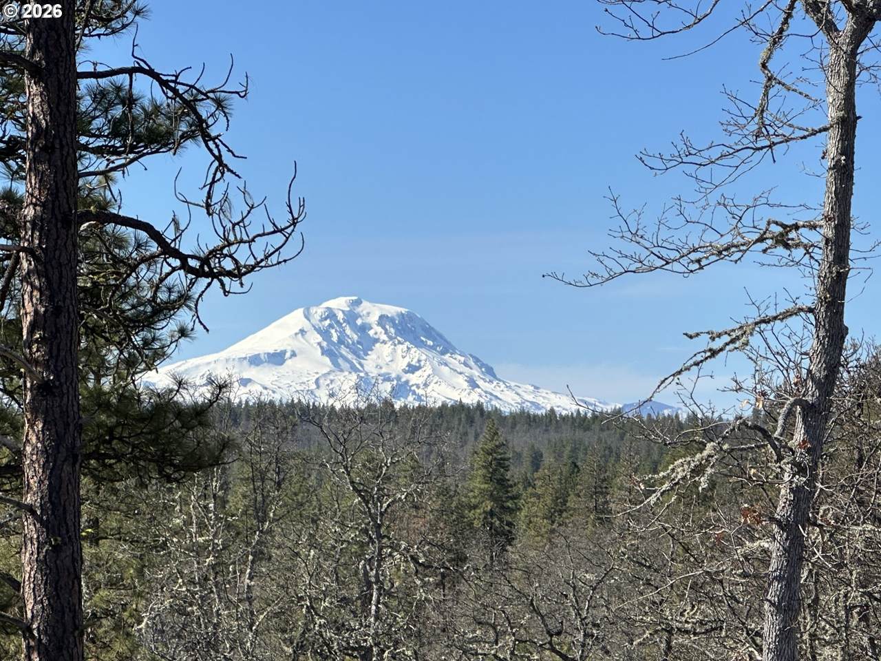 https://bt-photos.global.ssl.fastly.net/portland/1280_boomver_1_407932578-2.jpg
