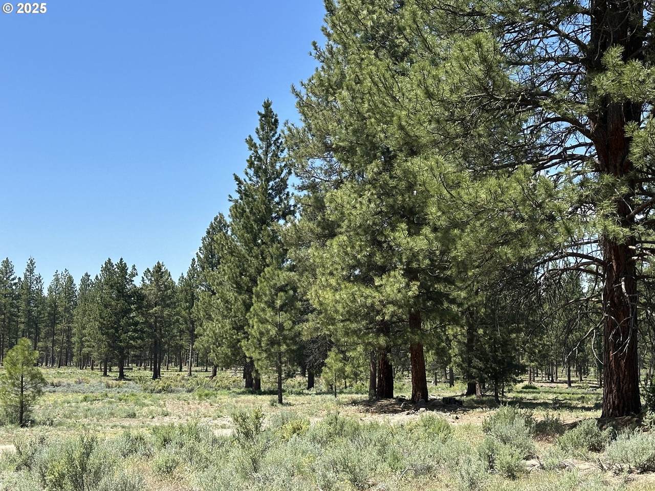  Sprague River Rd - Photo 1