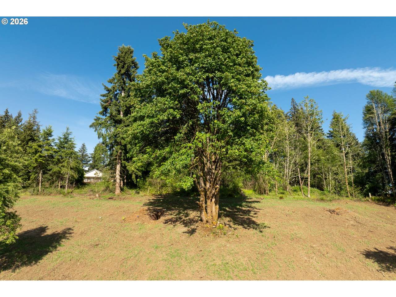 https://bt-photos.global.ssl.fastly.net/portland/1280_boomver_1_410530450-2.jpg