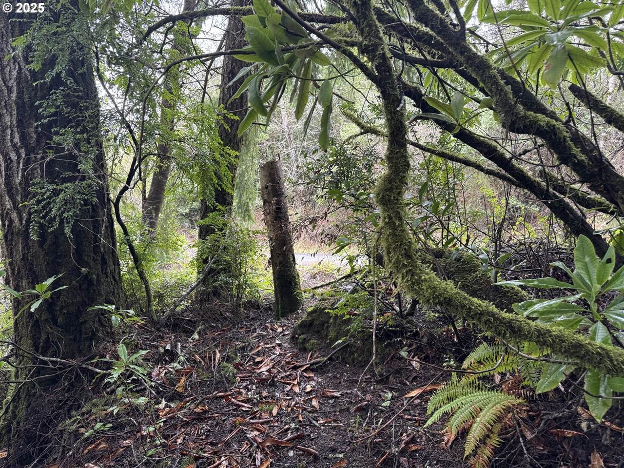 01 Petitt Ln - Photo 1