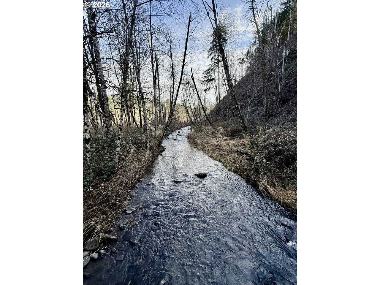  Butte Creek Crossing - Photo 1