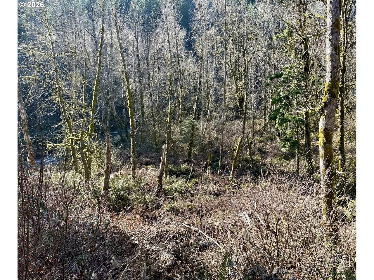 https://bt-photos.global.ssl.fastly.net/portland/1280_boomver_1_410650347-2.jpg