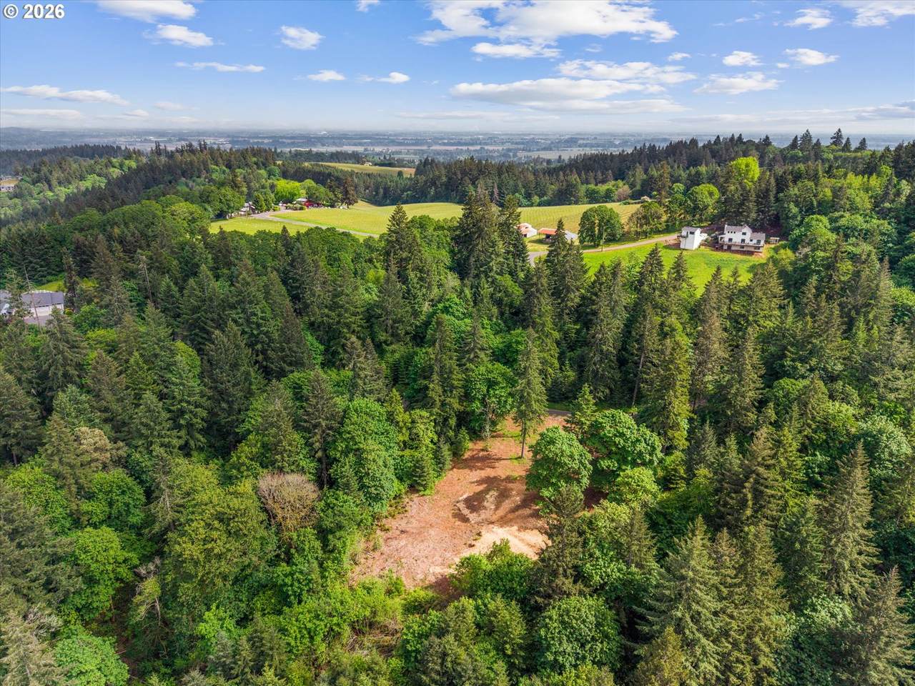 https://bt-photos.global.ssl.fastly.net/portland/1280_boomver_1_415756849-2.jpg