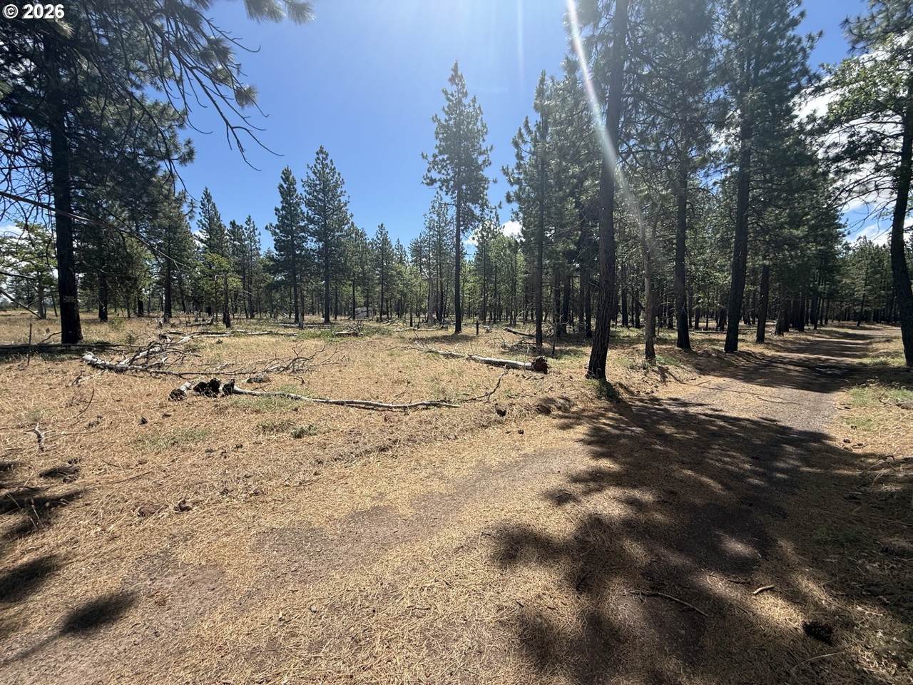  Old Stage Rd - Photo 1