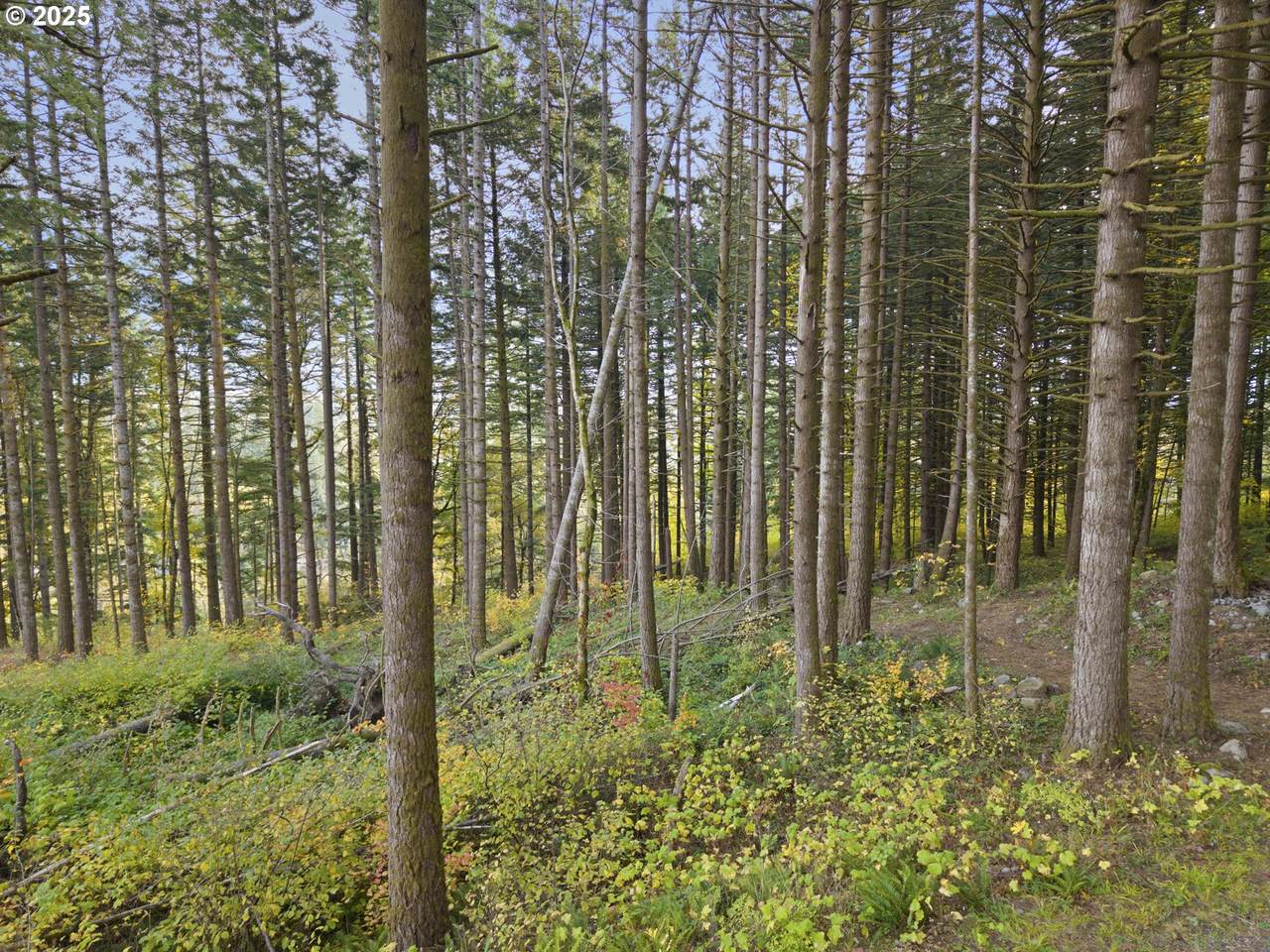 https://bt-photos.global.ssl.fastly.net/portland/1280_boomver_1_421860154-2.jpg