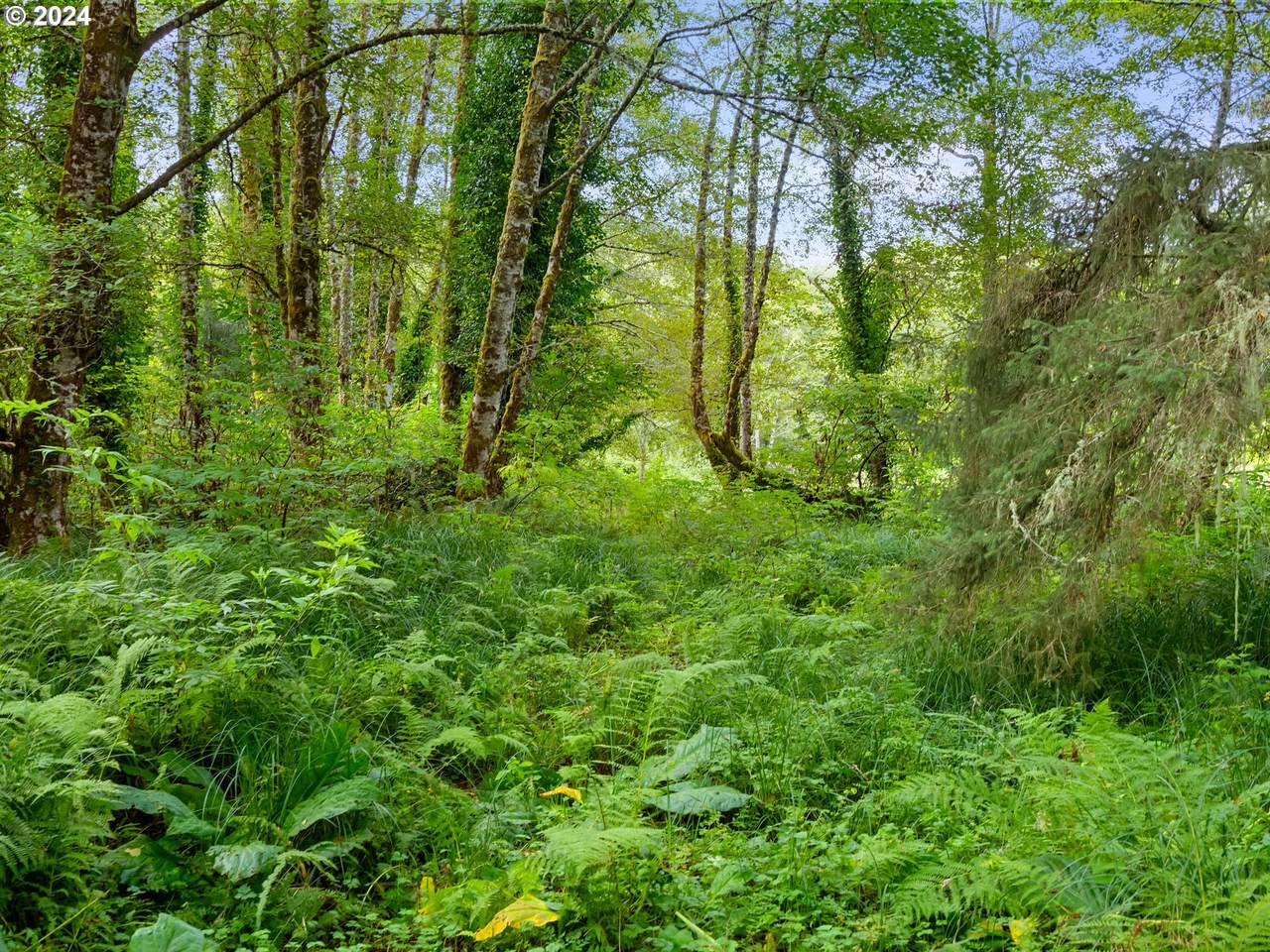 https://bt-photos.global.ssl.fastly.net/portland/1280_boomver_1_423424451-2.jpg