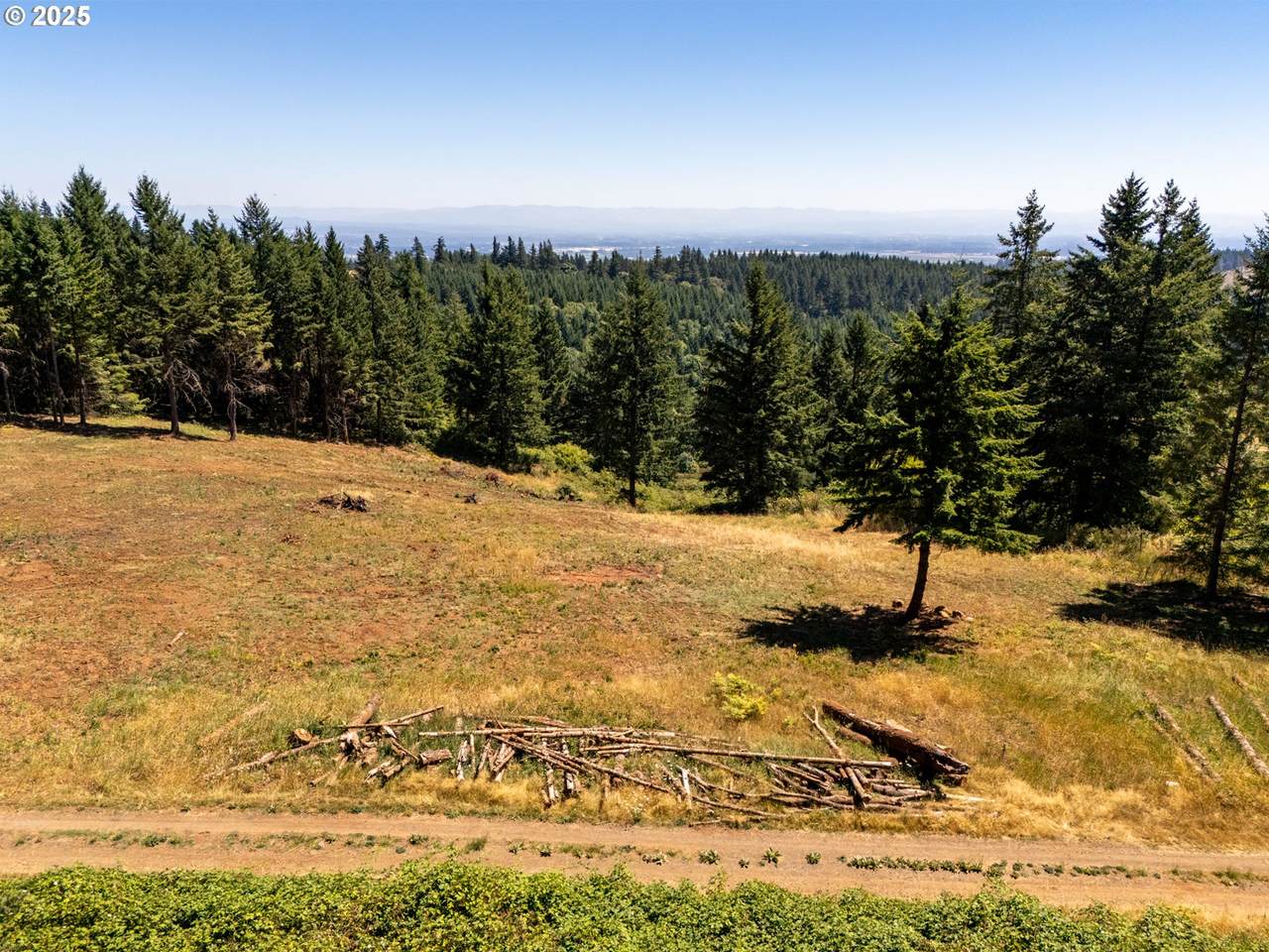 0 Old Parrett Mountain Rd - Photo 1