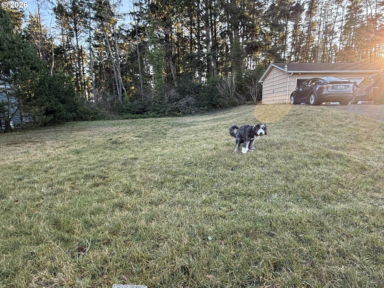 https://bt-photos.global.ssl.fastly.net/portland/1280_boomver_1_427879830-2.jpg