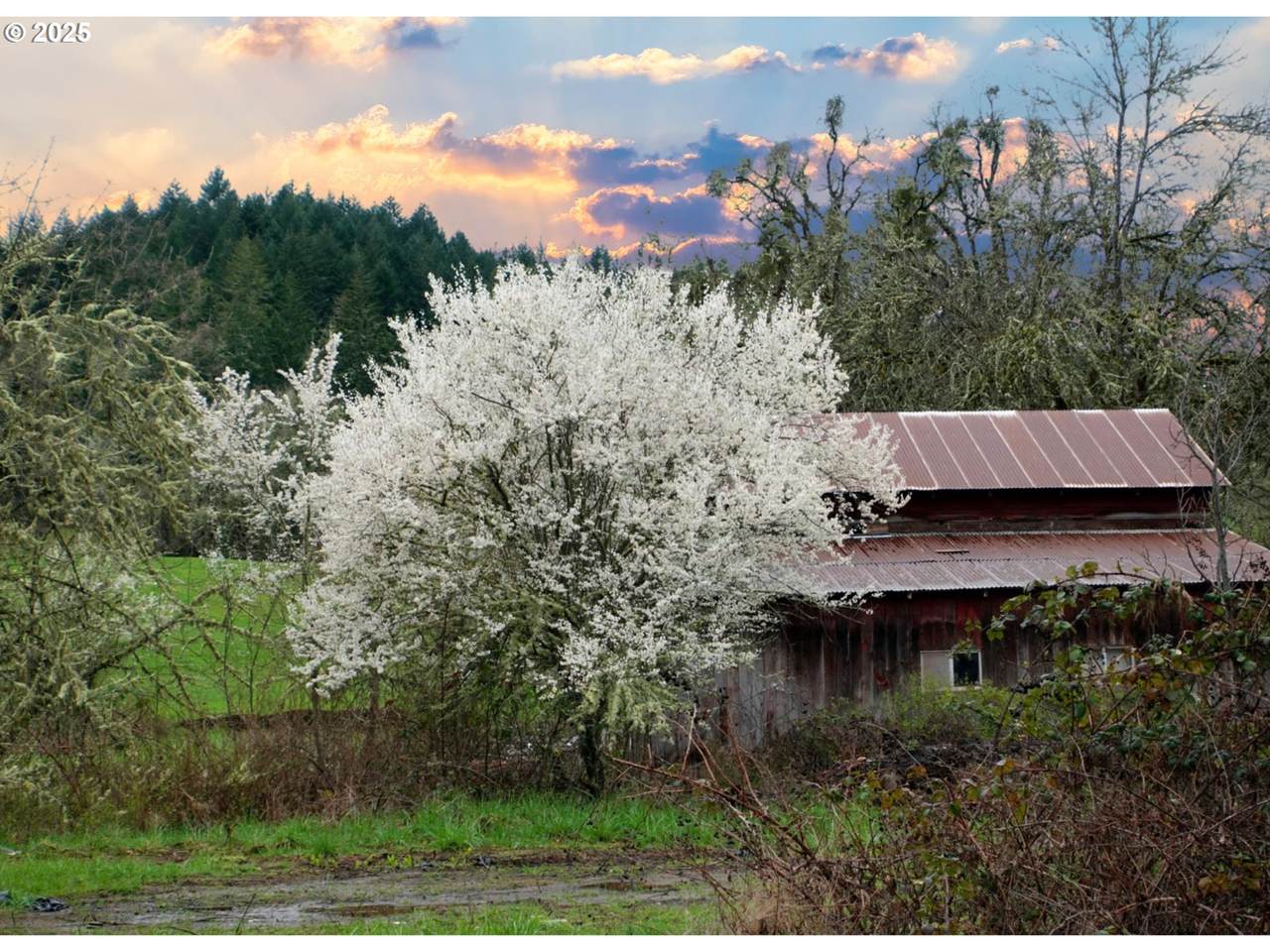 https://bt-photos.global.ssl.fastly.net/portland/1280_boomver_1_428247494-2.jpg