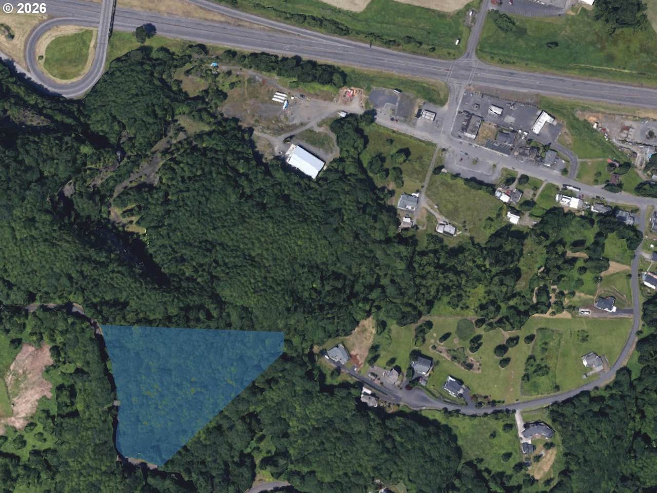  Old Rainier Rd - Photo 1