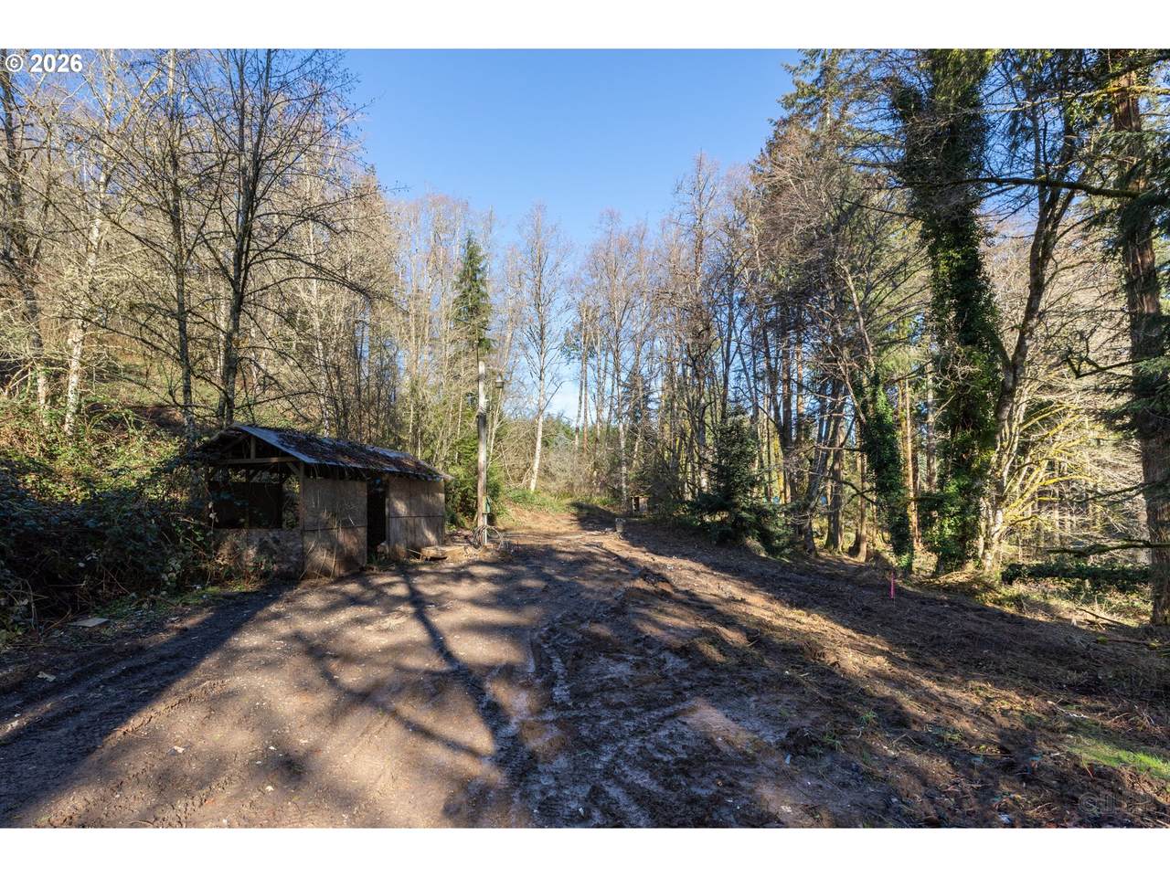 71909 Apiary Rd - Photo 1