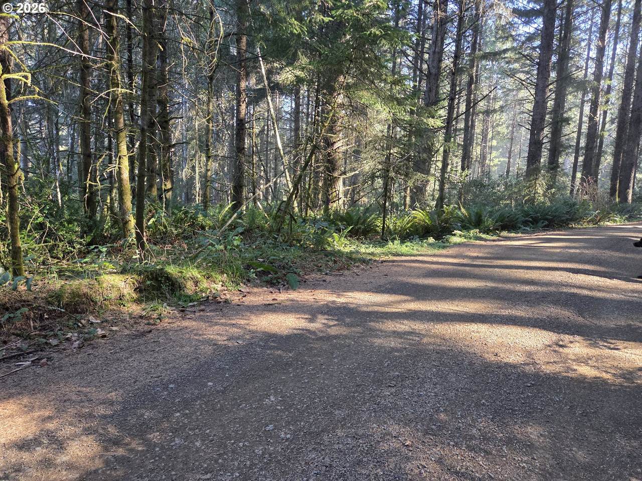  Greggs Creek Rd - Photo 1