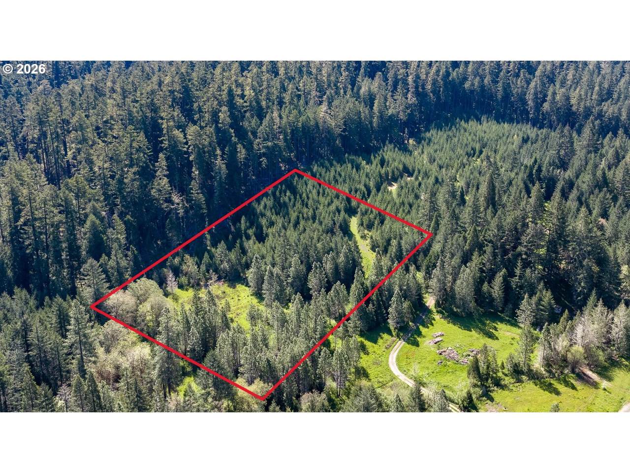  Berry Creek Rd - Photo 1