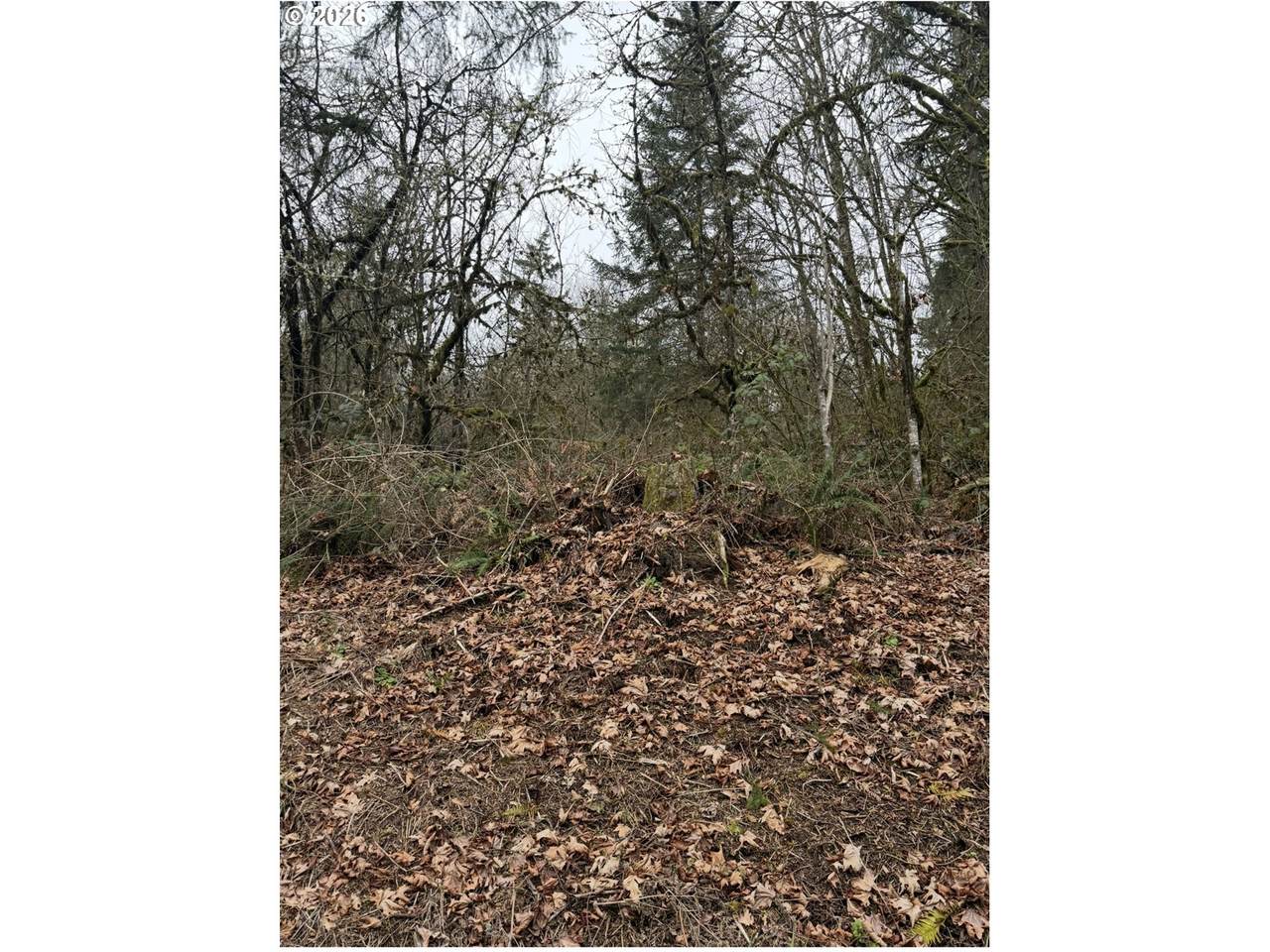  Hutchinson Rd - Photo 1