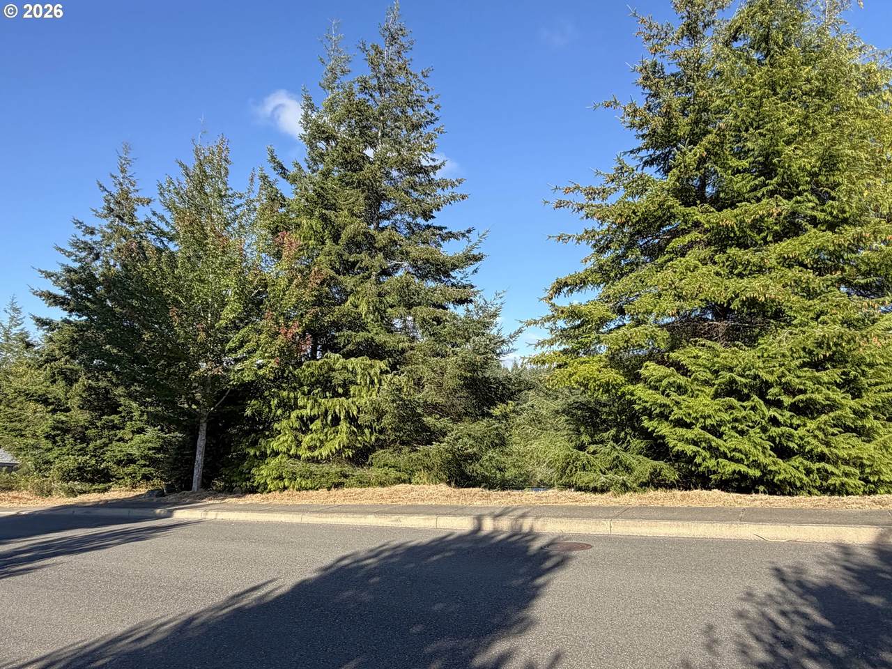 https://bt-photos.global.ssl.fastly.net/portland/1280_boomver_1_440656305-2.jpg