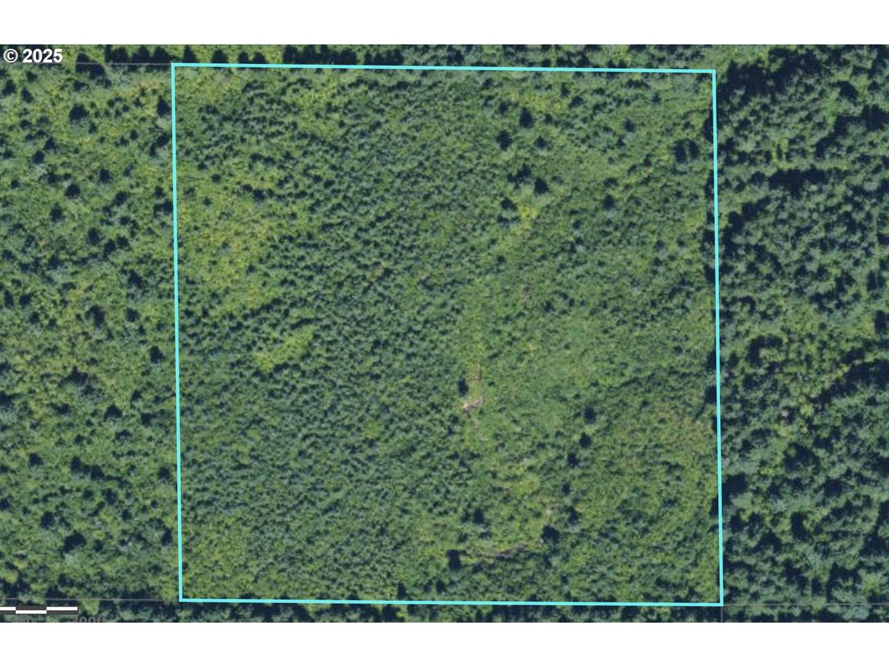 0 Vinemaple Rd - Photo 1