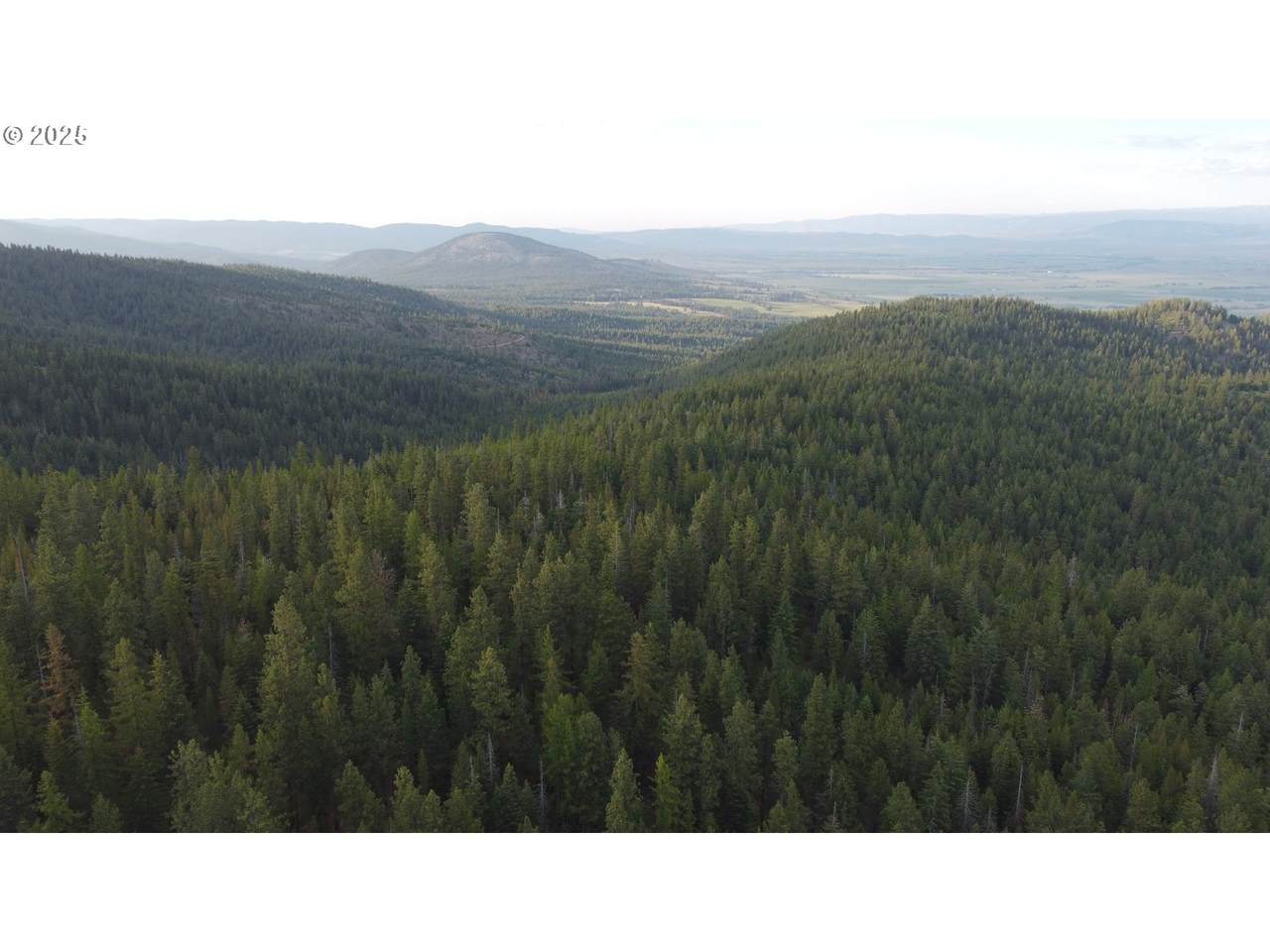 https://bt-photos.global.ssl.fastly.net/portland/1280_boomver_1_442290641-2.jpg