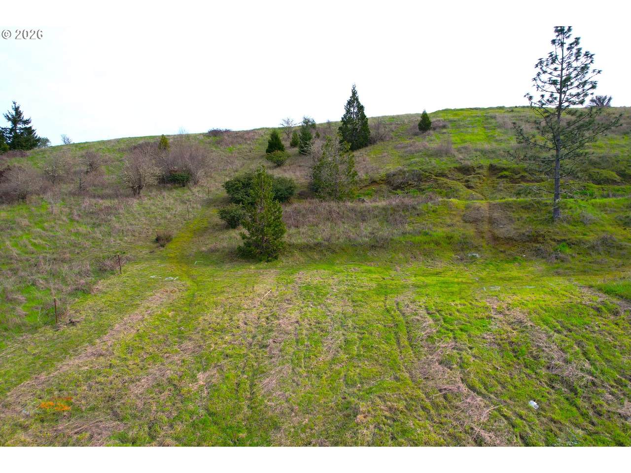 https://bt-photos.global.ssl.fastly.net/portland/1280_boomver_1_443043219-2.jpg
