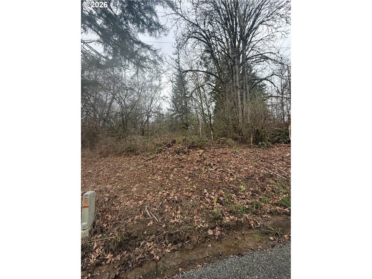  Hutchinson Rd - Photo 1