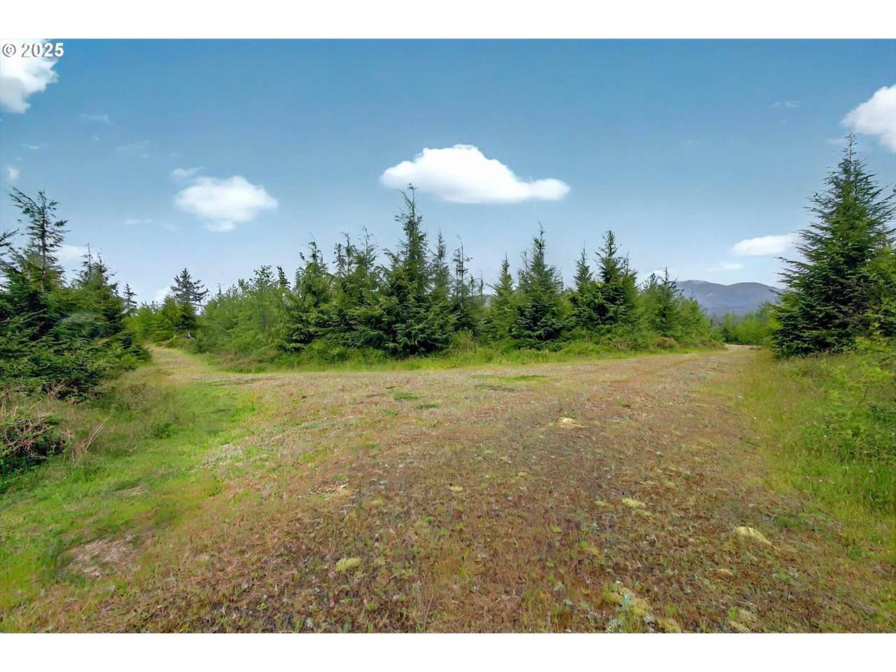 5 Parpala Rd - Photo 1