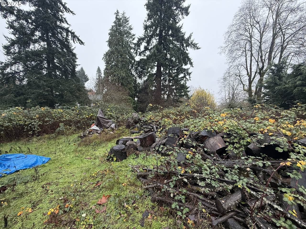 https://bt-photos.global.ssl.fastly.net/portland/1280_boomver_1_448924709-2.jpg