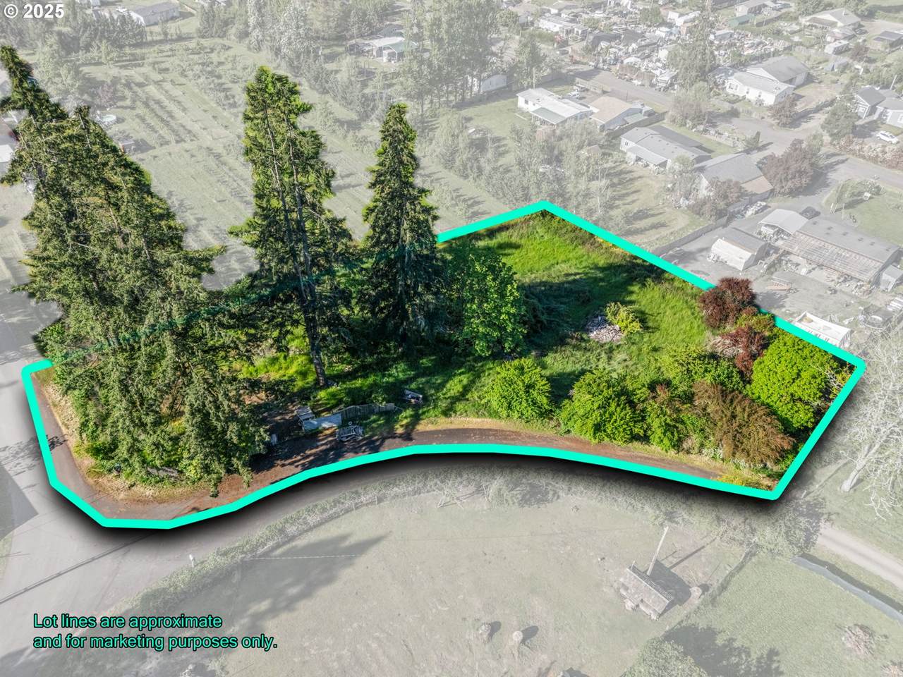 38896 Fir Ave - Photo 1