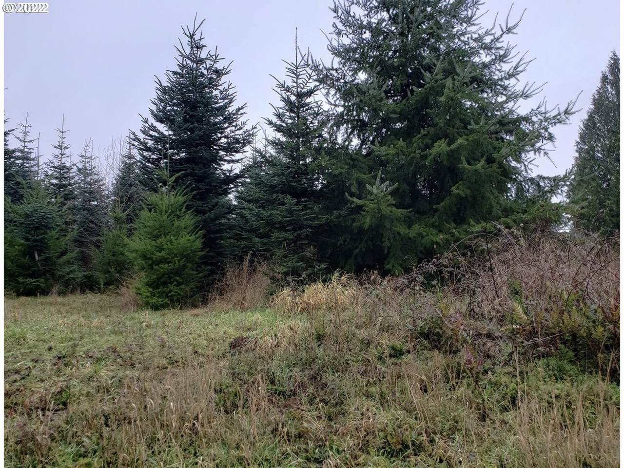 https://bt-photos.global.ssl.fastly.net/portland/orig_boomver_1_450708345-2.jpg