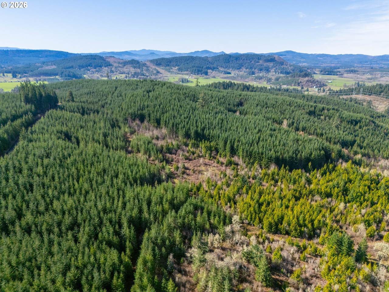 https://bt-photos.global.ssl.fastly.net/portland/1280_boomver_1_451510013-2.jpg