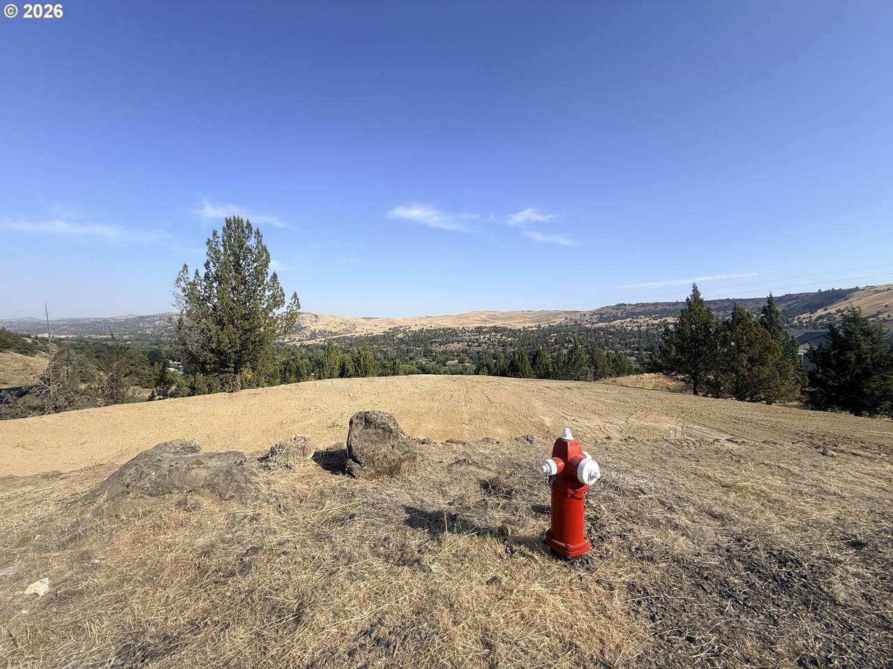 155 Lupine Ln - Photo 1