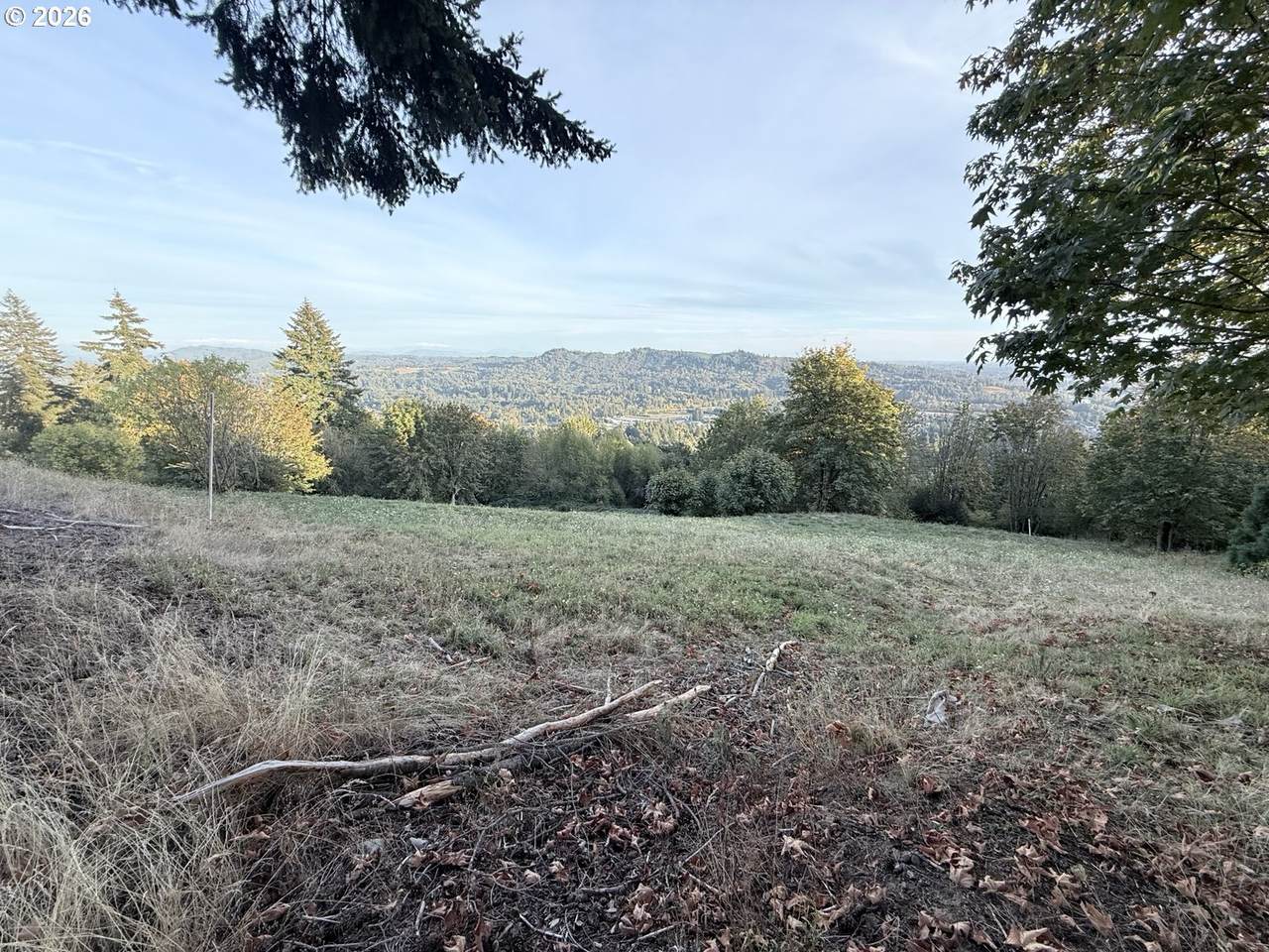 https://bt-photos.global.ssl.fastly.net/portland/1280_boomver_1_458049405-2.jpg